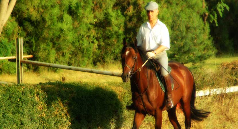 Equestrian in Delhi