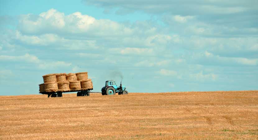 Agricultural & Crop Shipping in Patiala