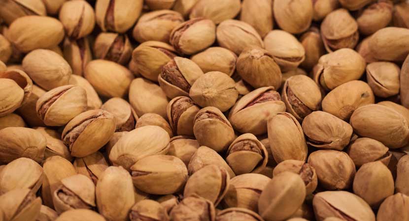 Nuts in Patiala