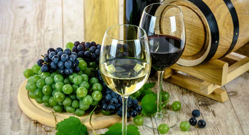 Wineries in Patiala