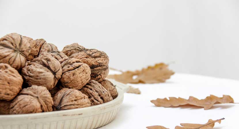 Dried Fruits in Patiala